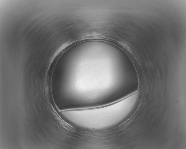 X0000056001458200508190809