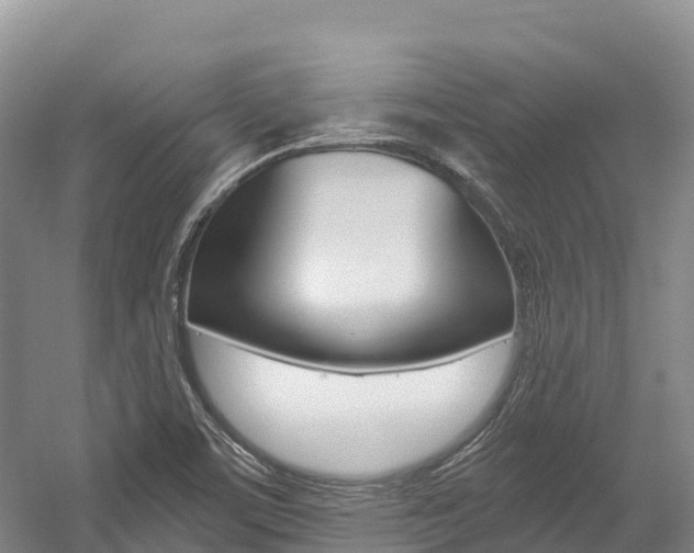 X0000056001459200508190809