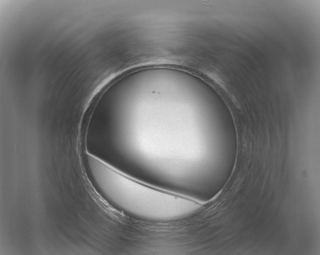 X0000056001460200508190809