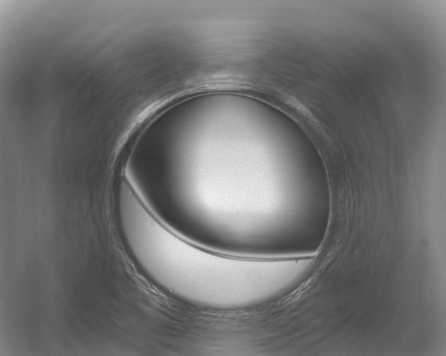 X0000056001461200508190809