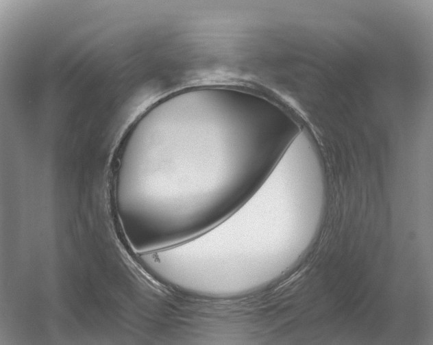 X0000056001463200508190809