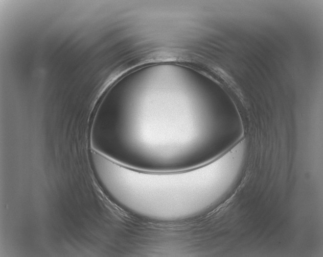 X0000056001465200508190809