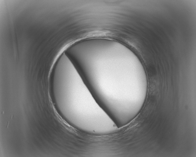 X0000056001467200508190809