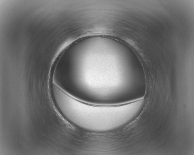 X0000056001469200508190809
