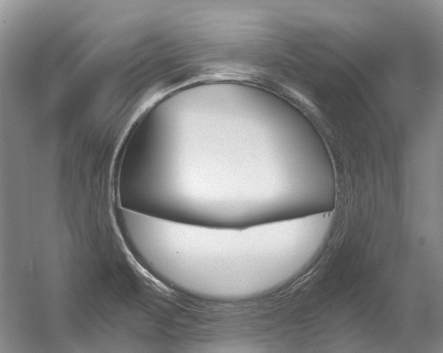 X0000056001471200508190809