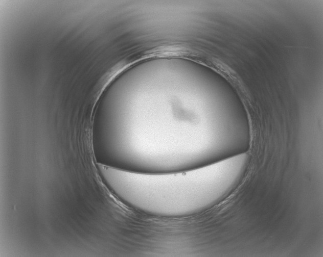 X0000056001473200508190808