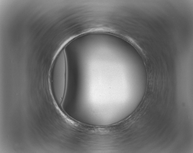 X0000056001476200508190808