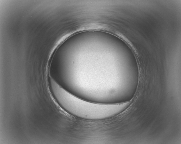 X0000056001477200508190808