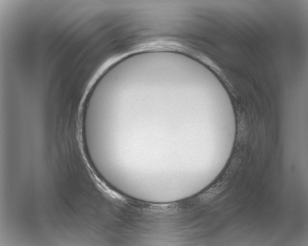 X0000056001478200508190808
