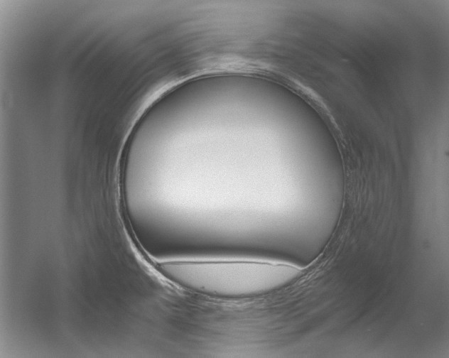 X0000056001479200508190808