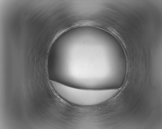 X0000056001481200508190808