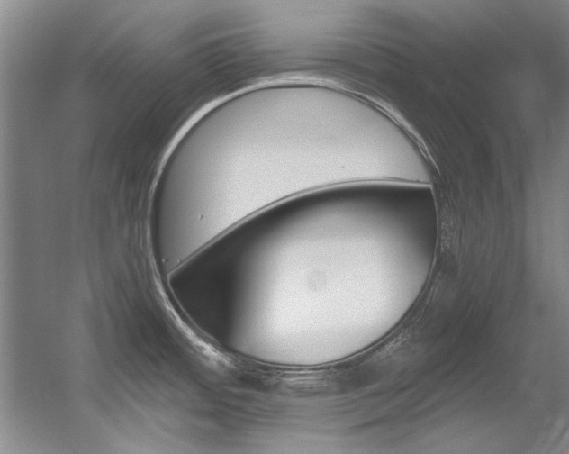 X0000056001484200508190808