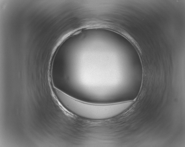 X0000056001485200508190808