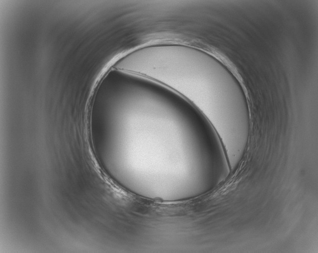 X0000056001488200508190808