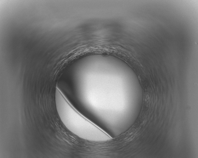 X0000056001490200508190807