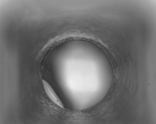 X0000056001495200508190808