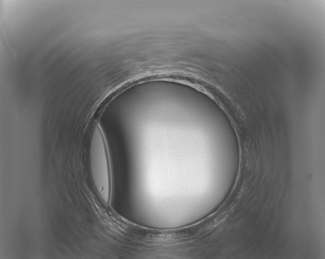 X0000056001497200508190808