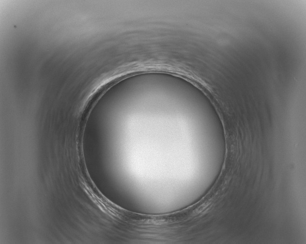 X0000056001499200508190808