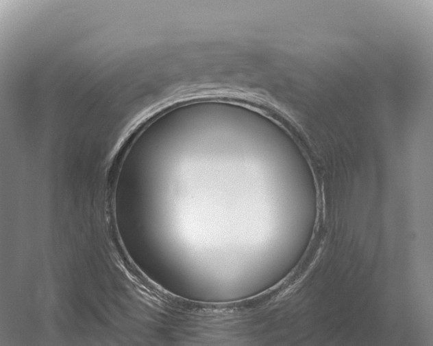 X0000056001501200508190808
