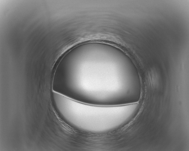 X0000056001505200508190808