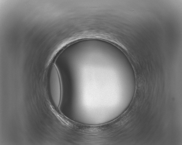 X0000056001507200508190808