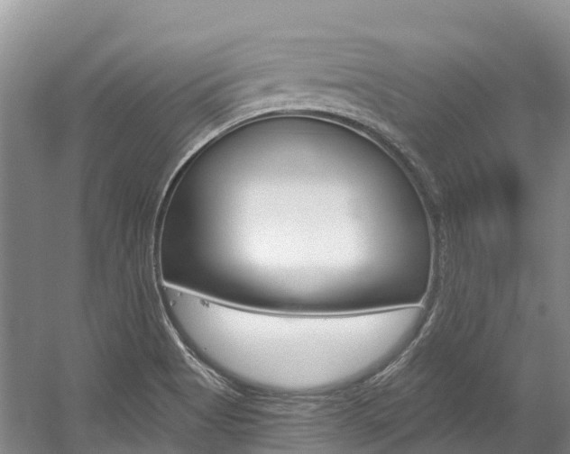 X0000056001513200508190808