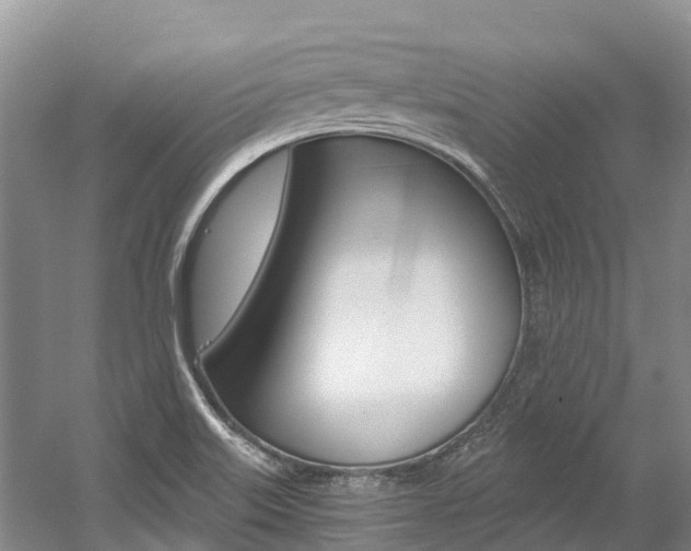 X0000056001515200508190808