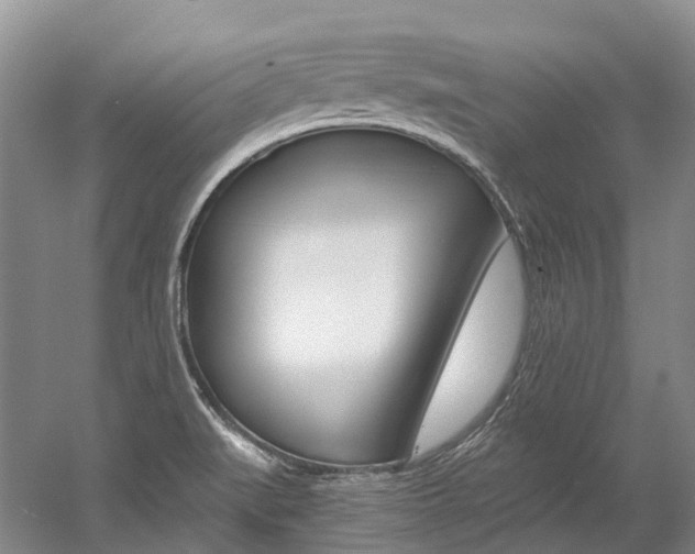 X0000056001519200508190808