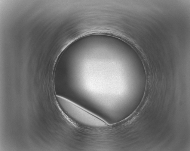X0000056001521200508190808