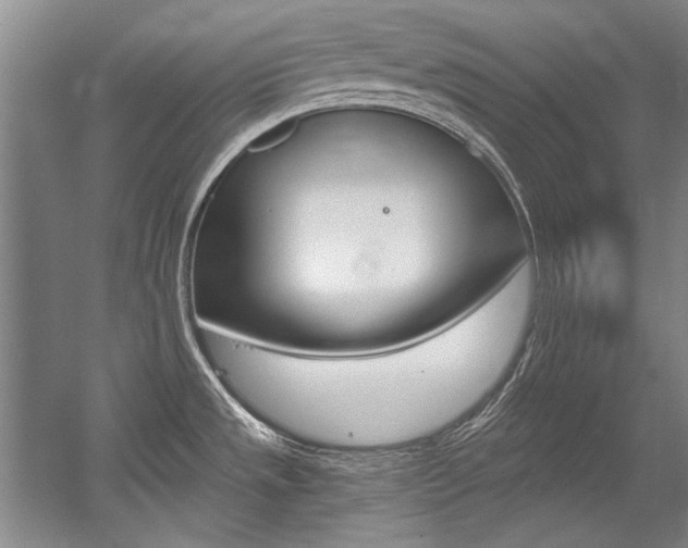 X0000056001533200508190808
