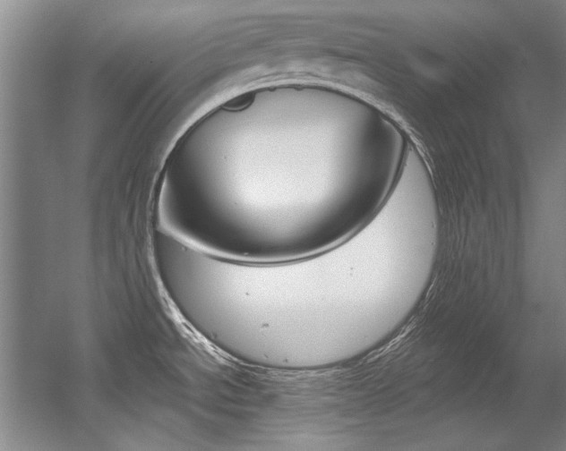 X0000056001534200508190808