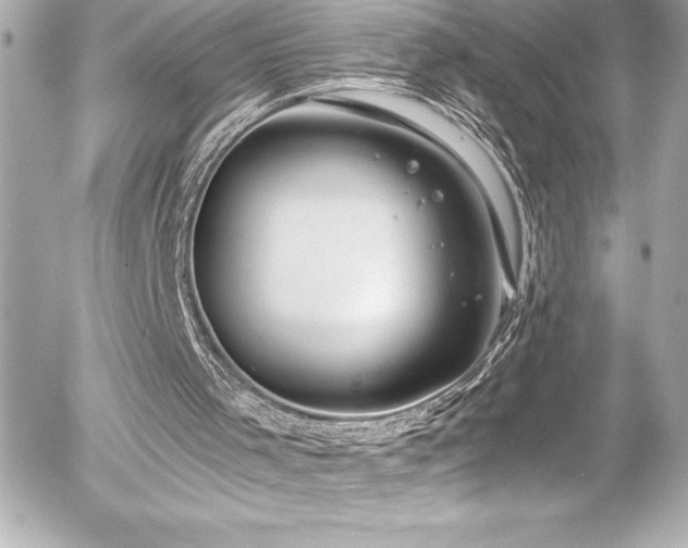 X0000056000001200508191335