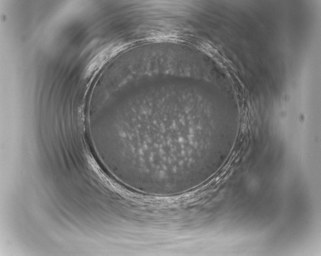 X0000056000002200508191335