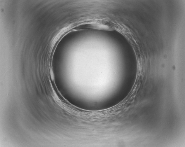 X0000056000003200508191335