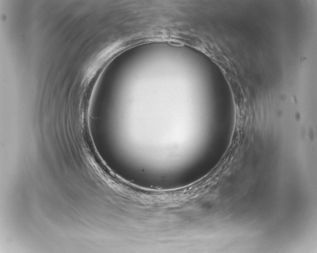 X0000056000005200508191335