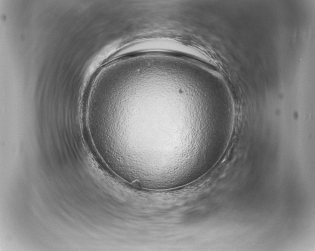 X0000056000006200508191335