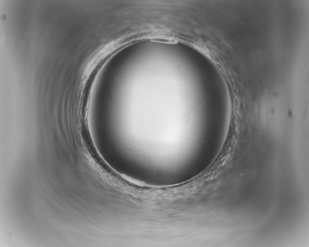 X0000056000007200508191335