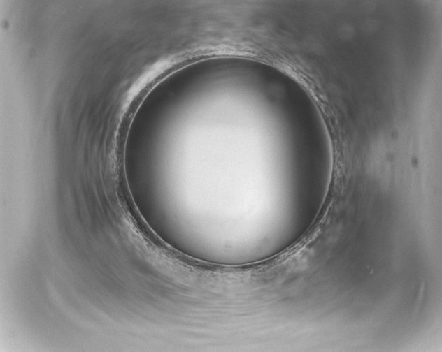 X0000056000008200508191335