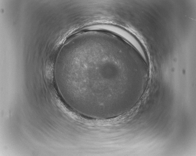 X0000056000009200508191335