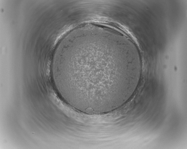 X0000056000010200508191335