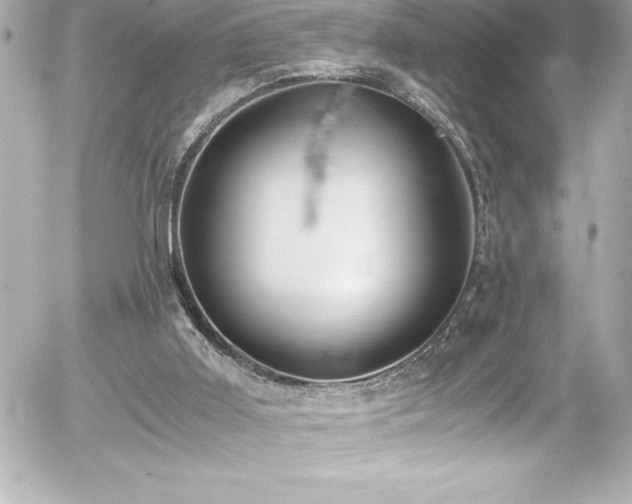 X0000056000011200508191335