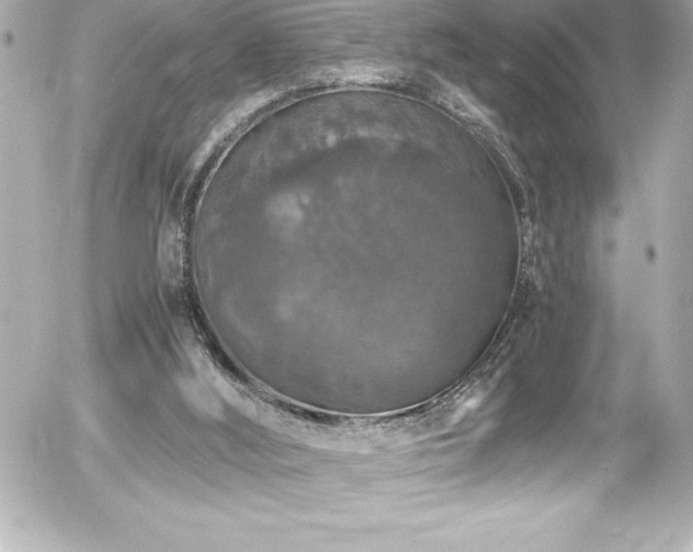 X0000056000012200508191335