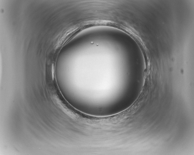 X0000056000013200508191335