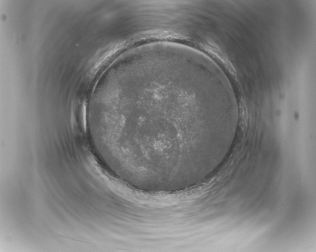 X0000056000014200508191335