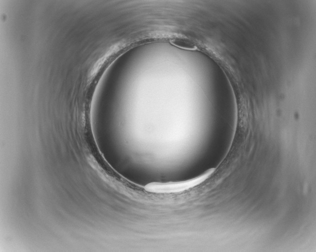 X0000056000015200508191335