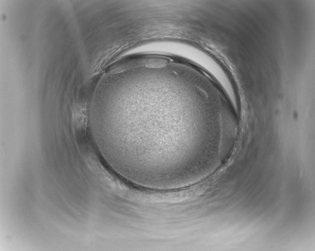 X0000056000017200508191335