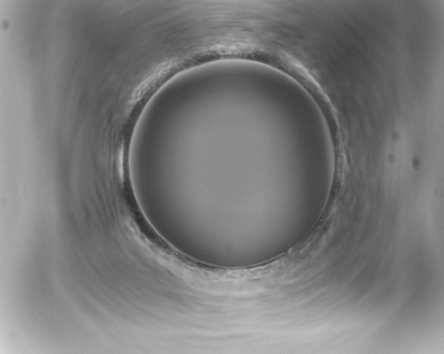 X0000056000019200508191335