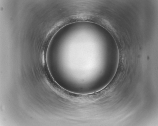 X0000056000020200508191335