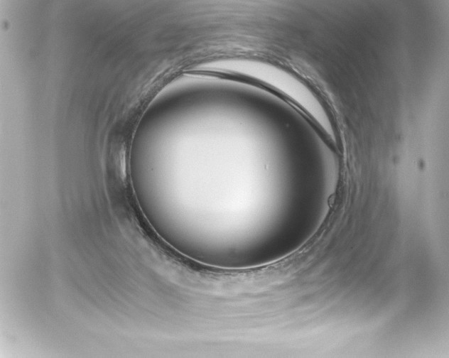 X0000056000021200508191335