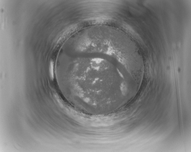 X0000056000022200508191335